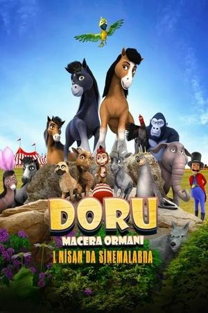 Doru: Macera Ormani's poster