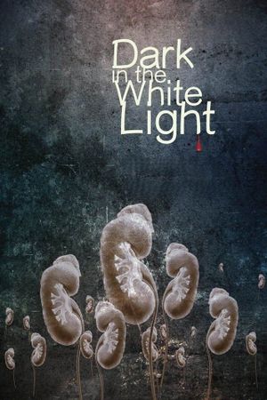 Dark in the White Light's poster