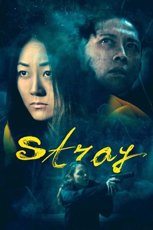 Stray's poster