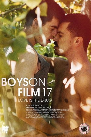 Boys on Film 17: Love Is the Drug's poster image