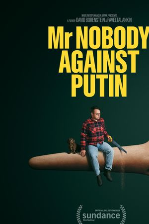 Mr. Nobody Against Putin's poster