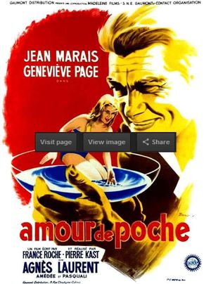 Girl in His Pocket's poster