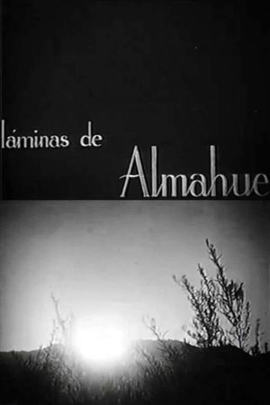 Láminas de Almahue's poster