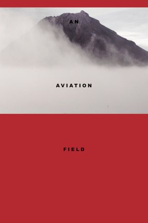 An Aviation Field's poster