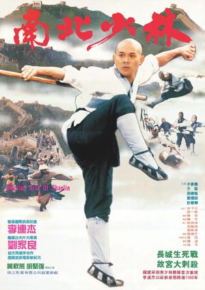Martial Arts of Shaolin's poster