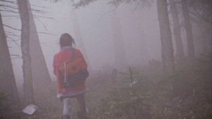 The Girl in the Mist's poster