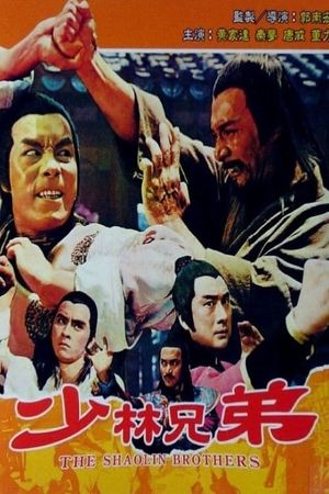 The Shaolin Brothers's poster