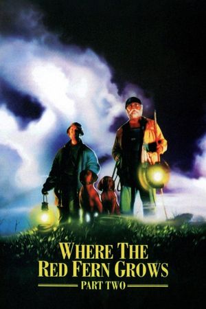 Where The Red Fern Grows Part 2's poster