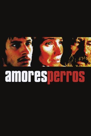 Amores Perros's poster