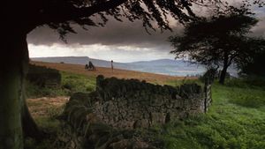 Barry Lyndon's poster