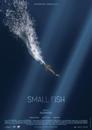 Small Fish's poster
