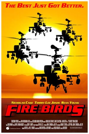 Fire Birds's poster