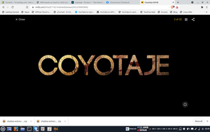 Coyotaje's poster