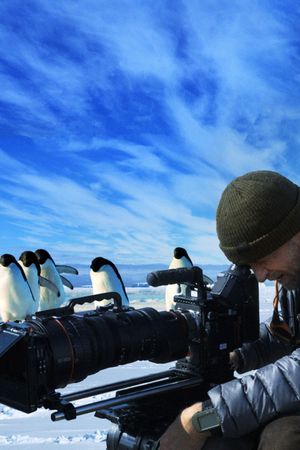 Penguins: Life on the Edge's poster