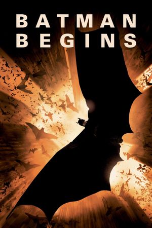 Batman Begins's poster