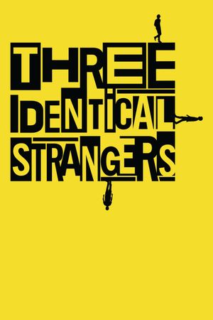 Three Identical Strangers's poster