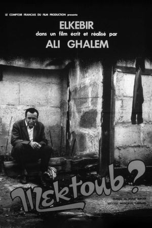 Mektoub's poster