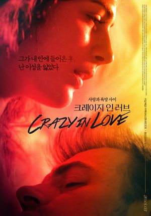 Crazy in Love's poster