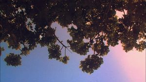 It's Such a Beautiful Day's poster