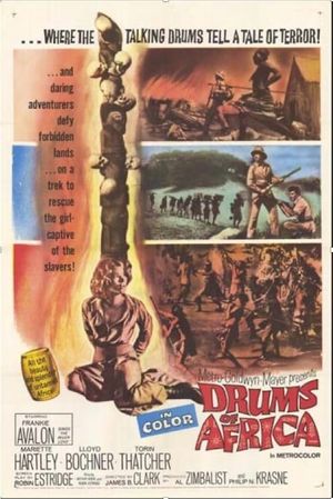 Drums of Africa's poster