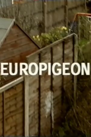 Europigeon's poster
