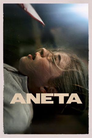 Aneta's poster
