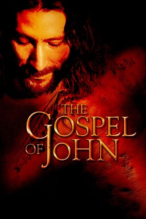 The Gospel of John's poster image