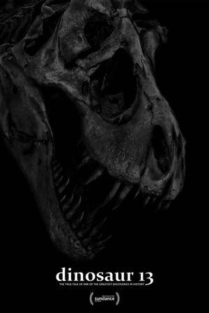 Dinosaur 13's poster