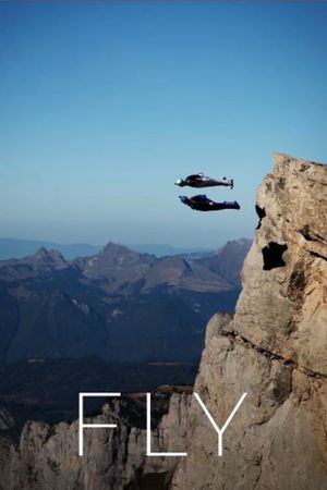 Fly's poster