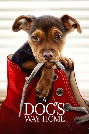 A Dog's Way Home's poster image
