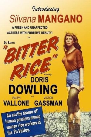 Bitter Rice's poster