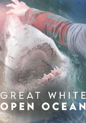 Great White Open Ocean's poster