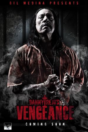 Vengeance's poster