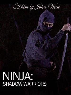 Ninja Shadow Warriors's poster