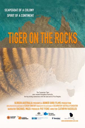 Tiger on the Rocks's poster