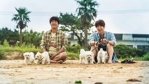 My Heart Puppy's poster