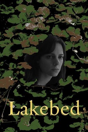 Lakebed's poster