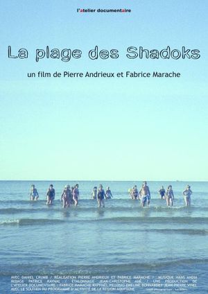 La plage des Shadoks's poster