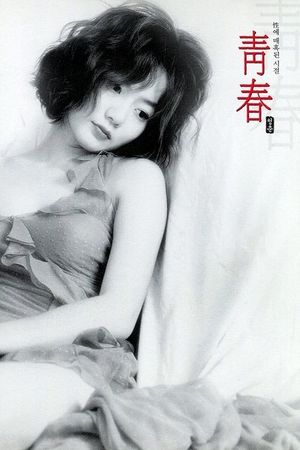 Plum Blossom's poster