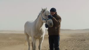 To Kill a Mongolian Horse's poster