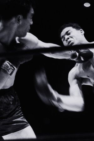 The Fight's poster