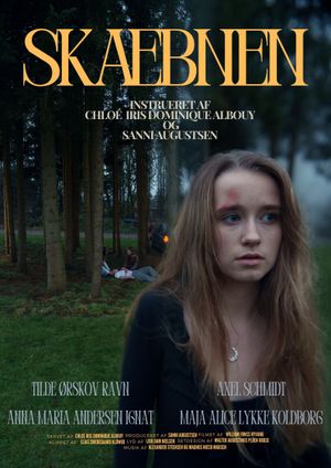 Skæbnen's poster