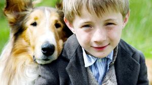 Lassie's poster