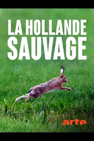 La Hollande sauvage - Dans l'oeil du delta's poster