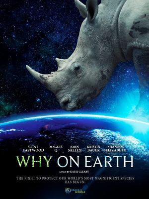 Why on Earth's poster