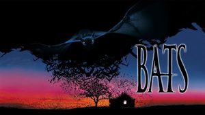 Bats's poster