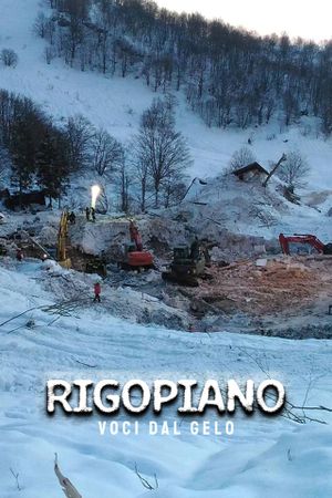 Rigopiano: voci dal gelo's poster