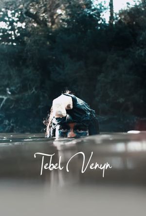 Tebel Venyn's poster