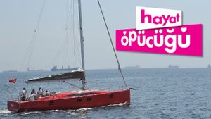 Hayat Öpücügü's poster