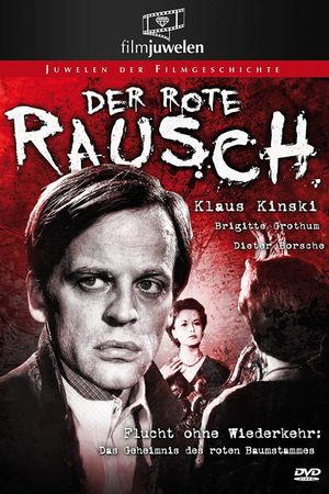 Der rote Rausch's poster